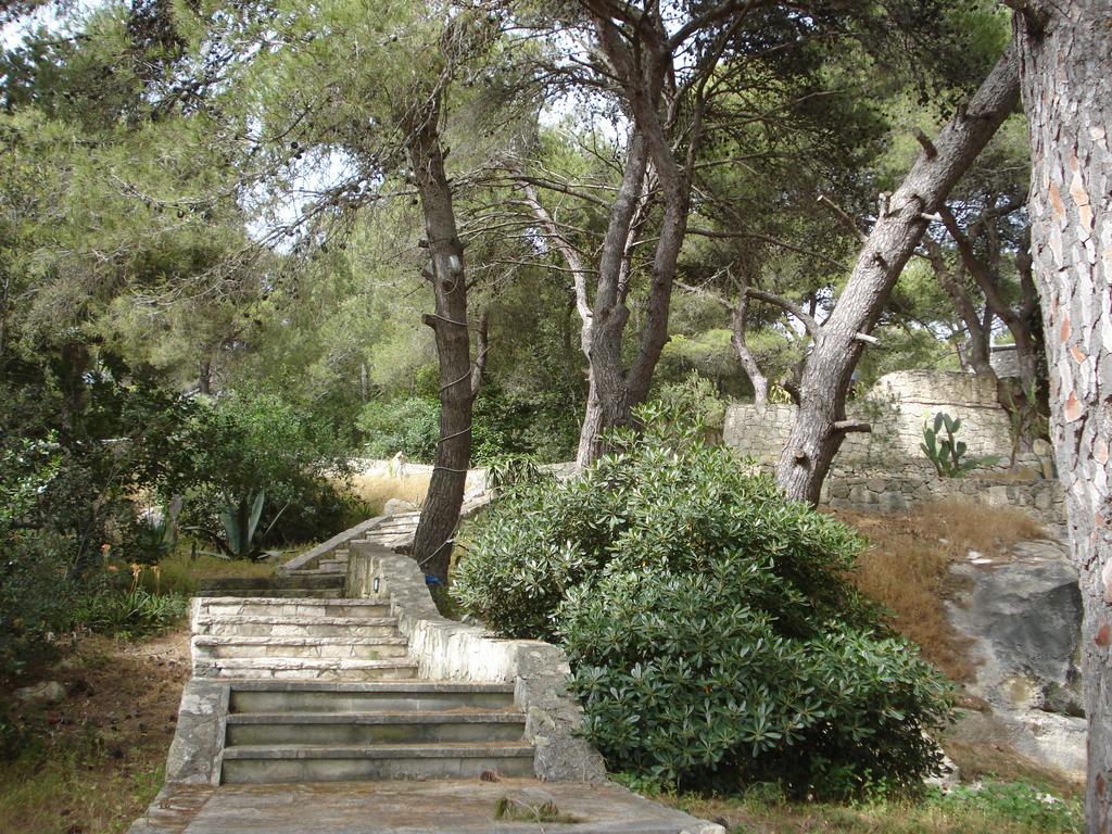 Trullo In The Wood Villa Nardò Buitenkant foto